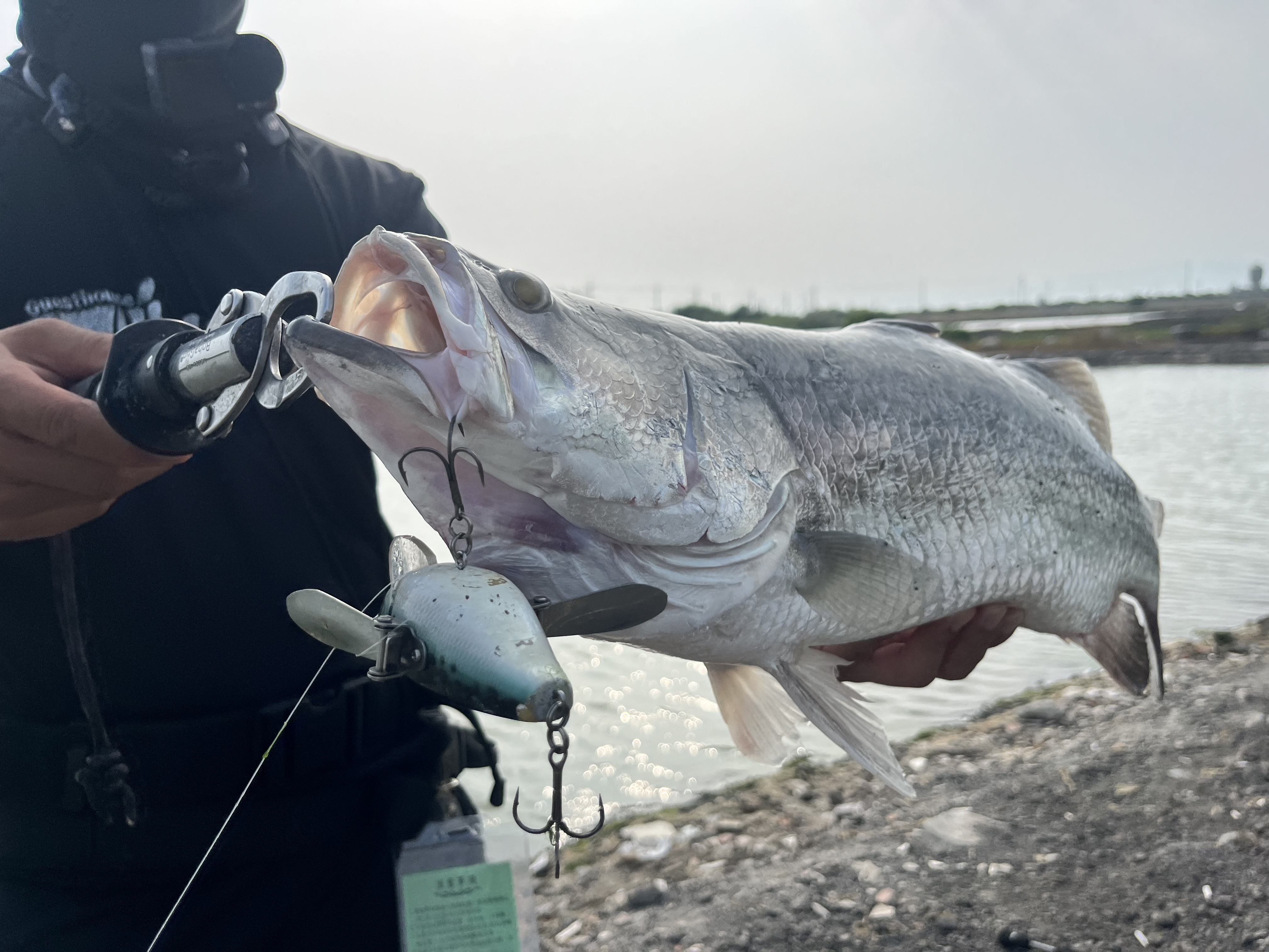 CROSS OVER フィールド実釣